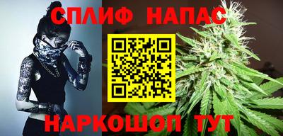 амф Донской