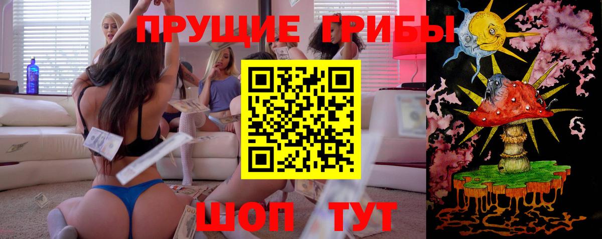 Псилоцибиновые грибы Magic Shrooms  Вход с VPN  где купить   Шадринск  Псилоцибиновые грибы Magic Shrooms 